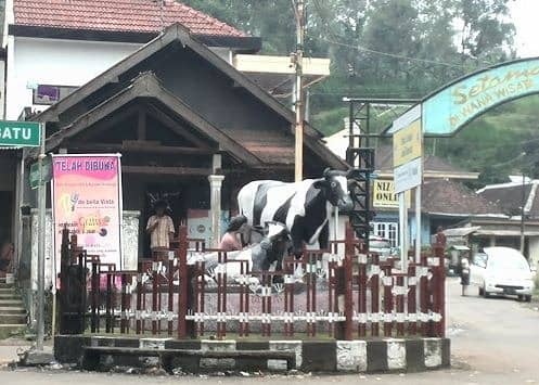 cafe sawah pujon kidul