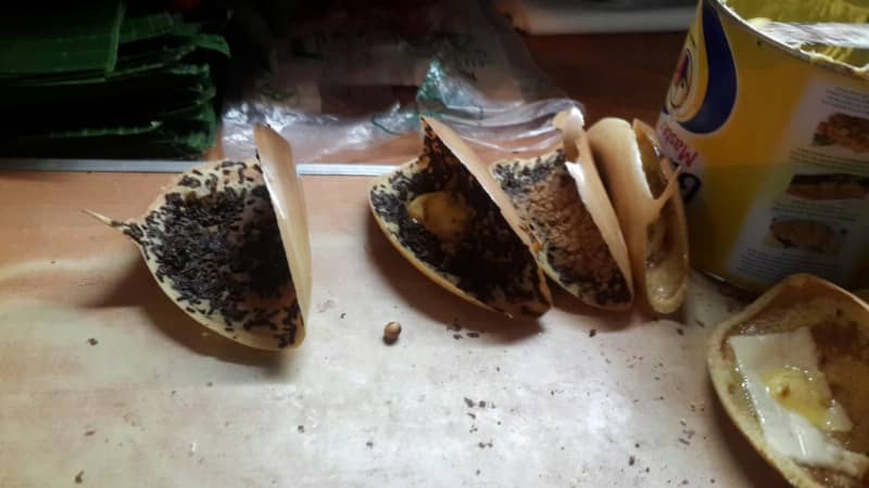 martabak piring medan