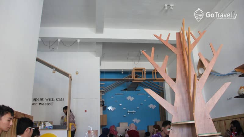 cafe kucing surabaya