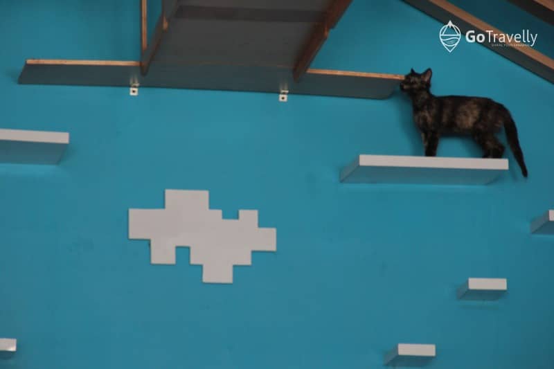 neko kepo cat & cafe