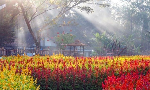 wisata di magelang
