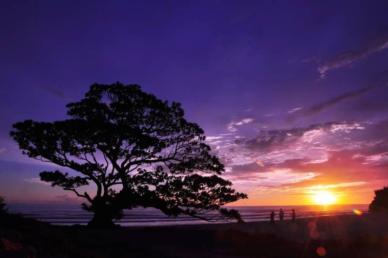 pantai pok tunggal gunung kidul