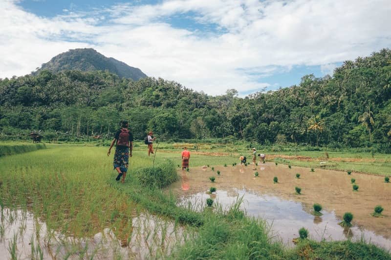 kampung wisata Kerujuk