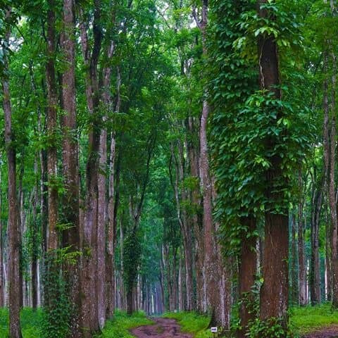 Wisata Sumber Manis