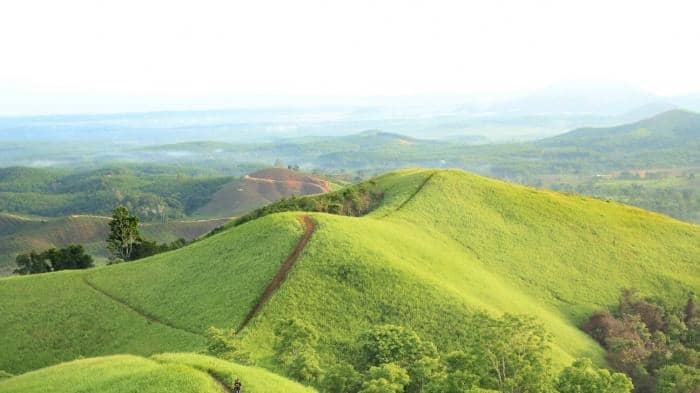 Bukit Telang