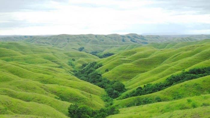 Bukit Telang