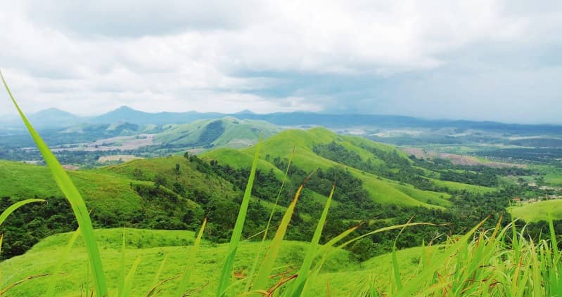 Bukit Telang