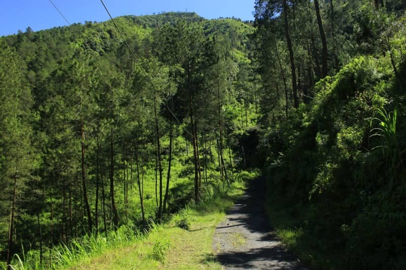 gunung telomoyo magelang