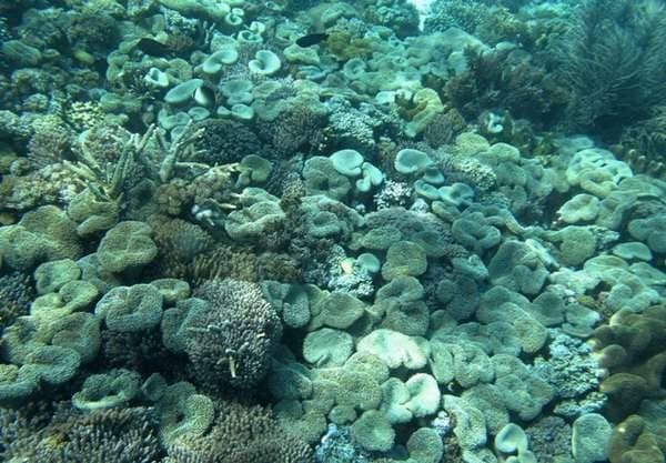 gili kondo lombok