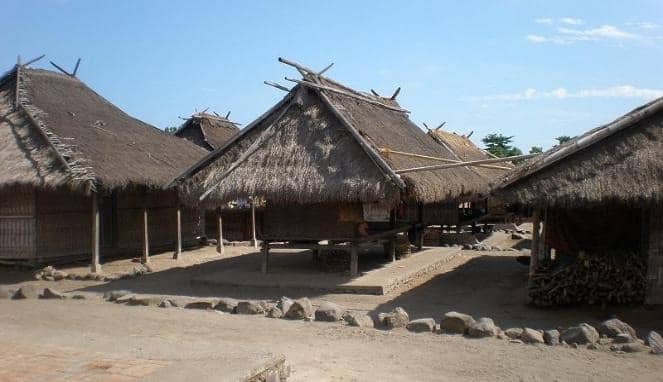 desa bayan lombok