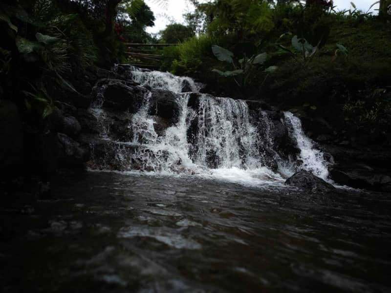 air terjun banyuwangi