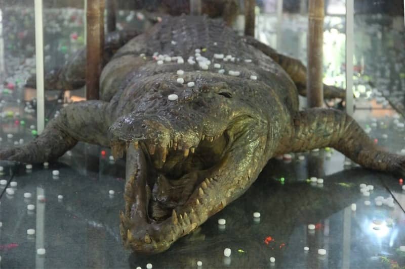 museum negeri nusa tenggara barat
