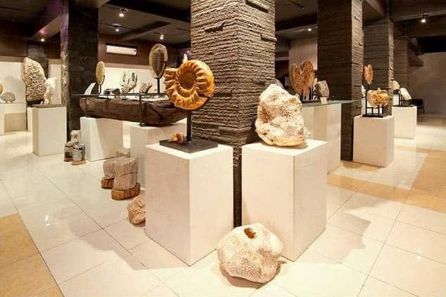 bali shell museum