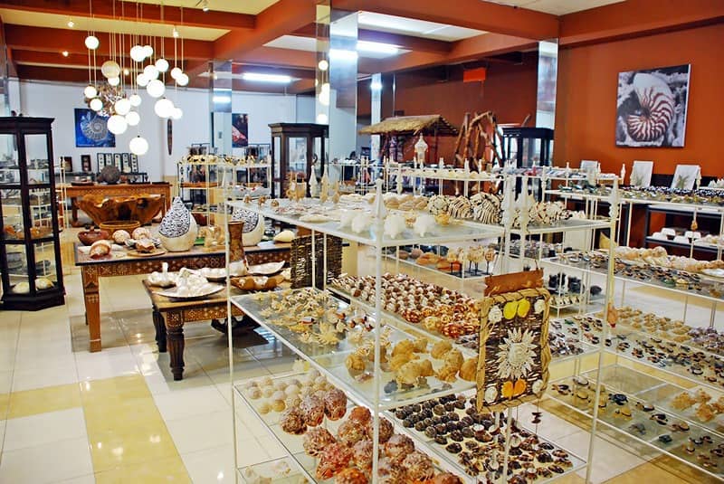 koleksi kerang di bali shell museum