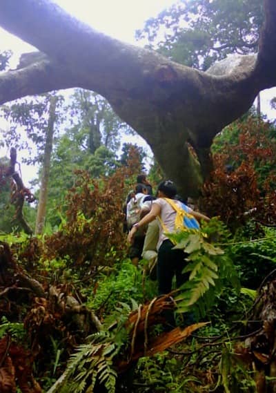 air terjun timponan