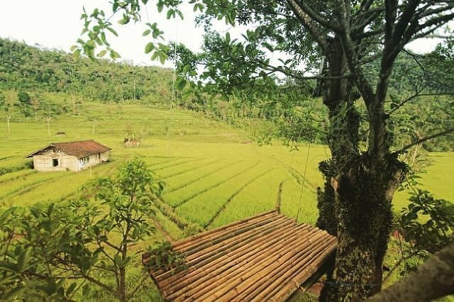 pemandangan desa wisata sepakung