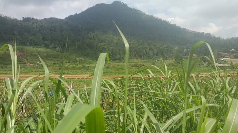 pemandangan desa wisata sepakung