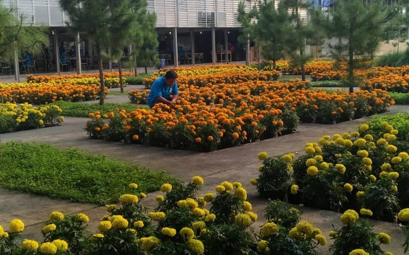 taman di Rumah Atsiri Karanganyar