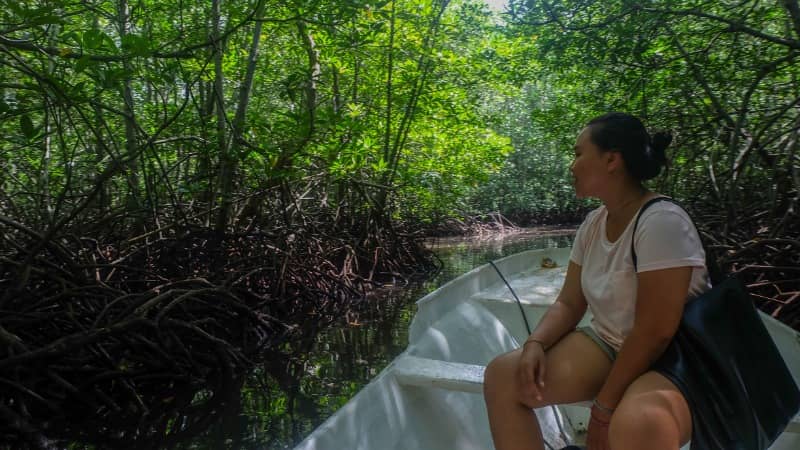 hutan mangrove nusa lembongan