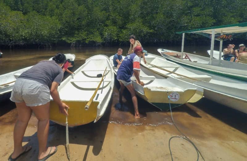 hutan mangrove nusa lembongan