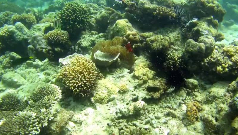 wisata di makassar