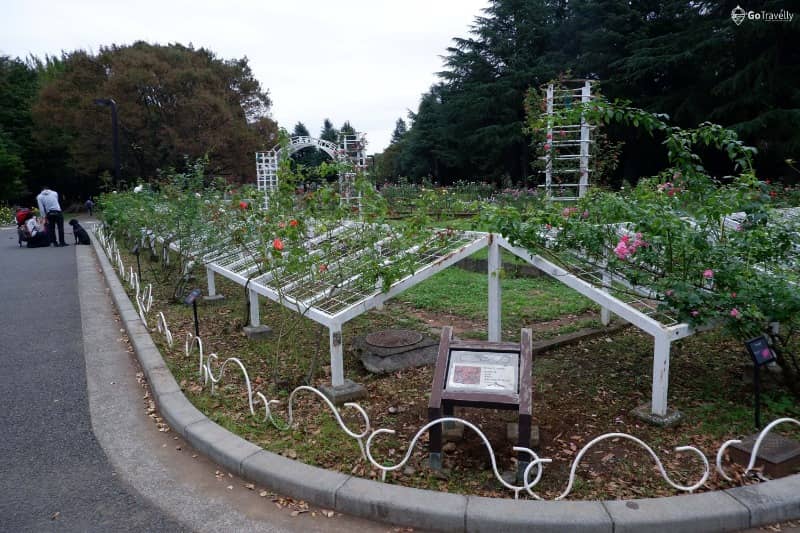 yoyogi park