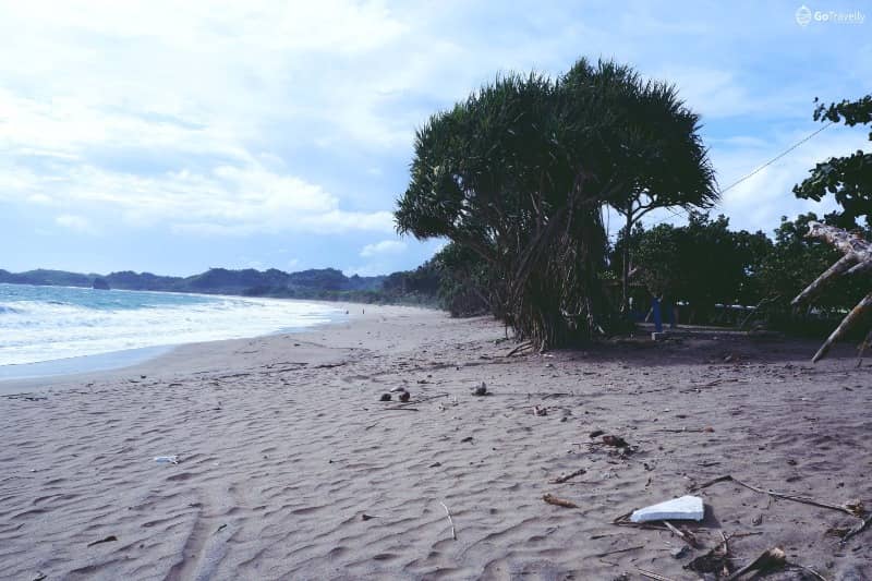 pantai ungapan bumi perkemahan