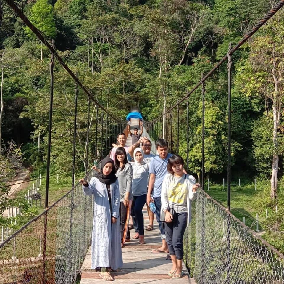 wisata menarik di Tangkahan