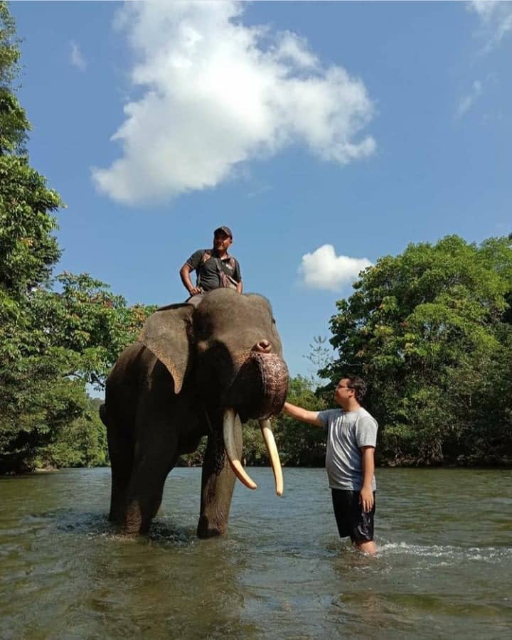obyek wisata Tangkahan