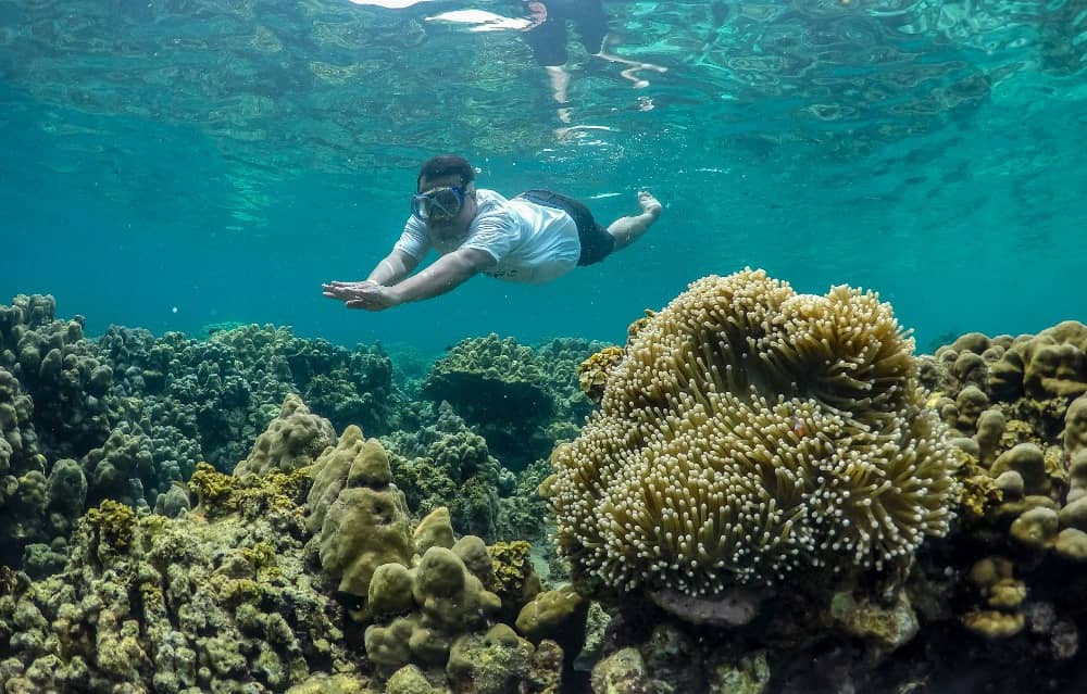 Wisata Bahari Tapanuli Tengah