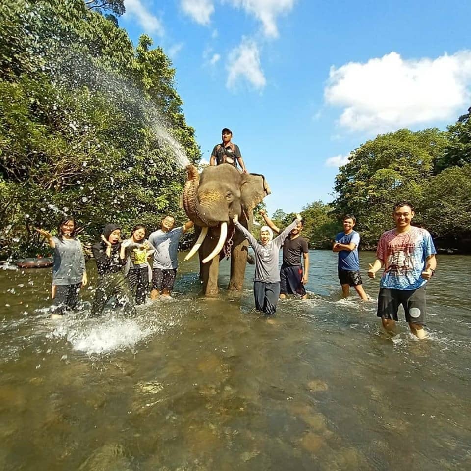 tempat wisata Tangkahan