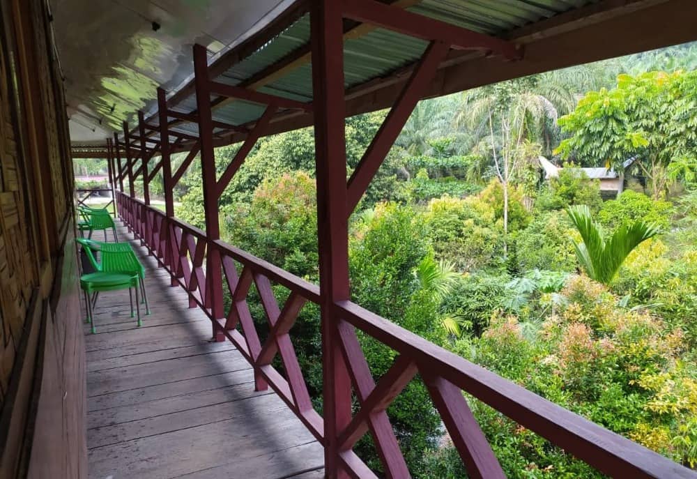 rekomendasi tempat wisata Tangkahan
