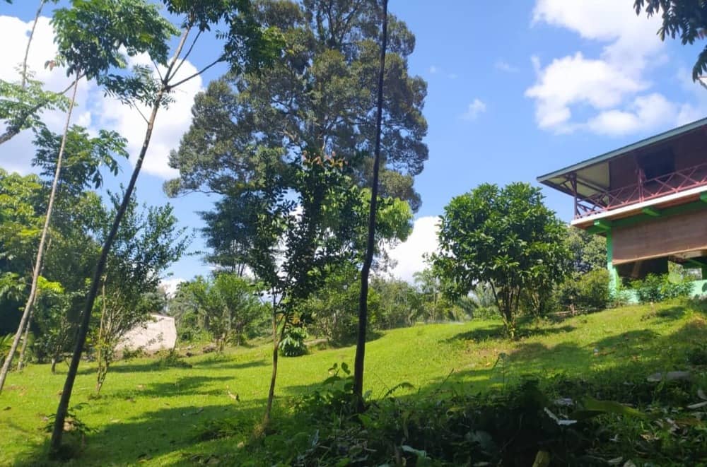 tempat wisata Tangkahan