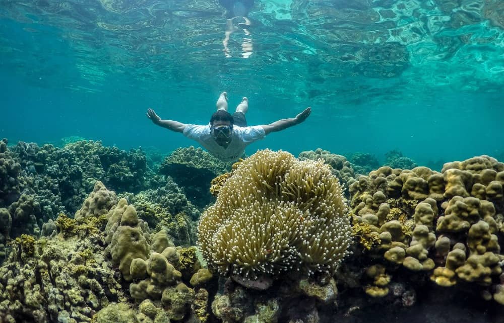 wisata bawah laut Tapanuli