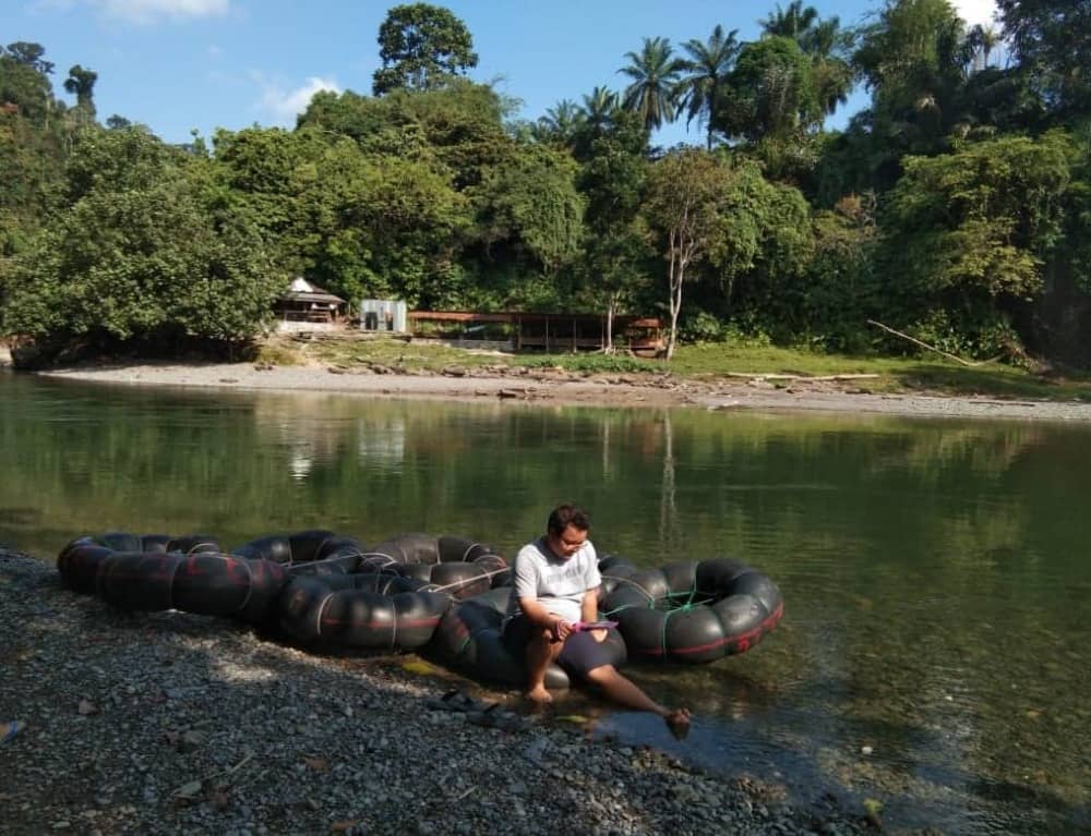 Tangkahan - melihat gajah secara langsung
