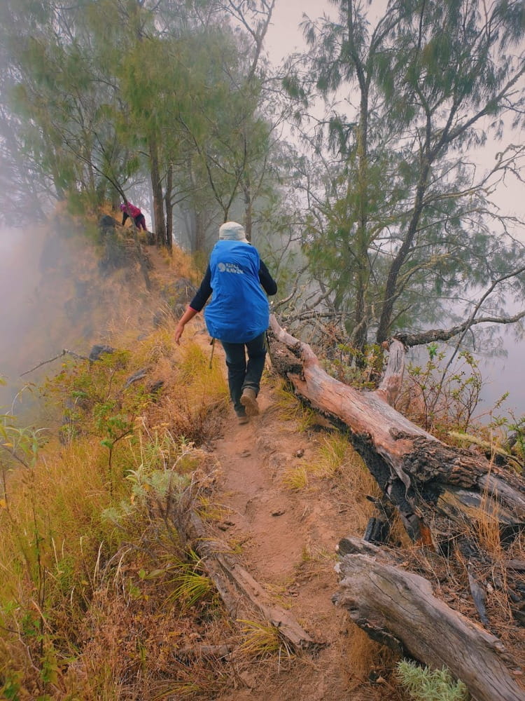 wiata alam bali