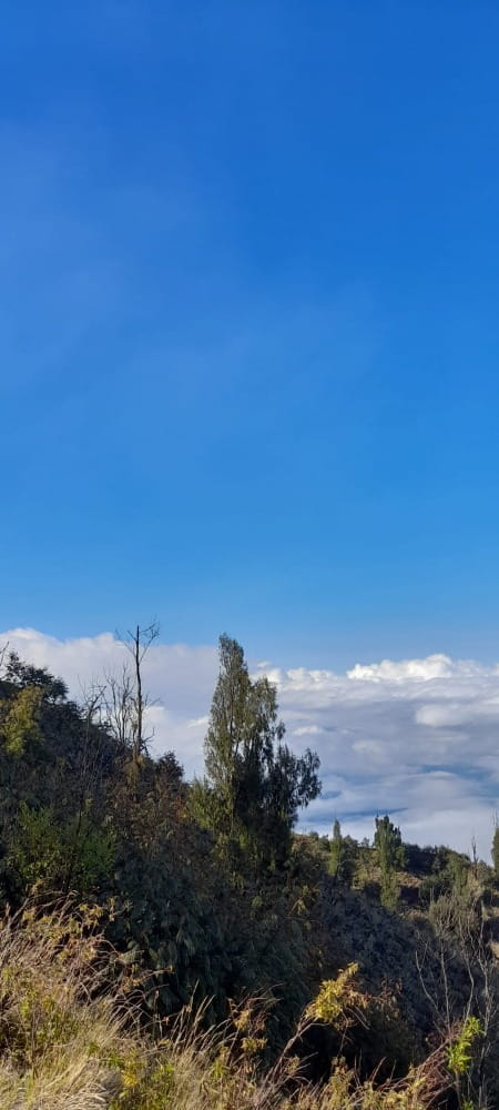 Hiking in Bali
