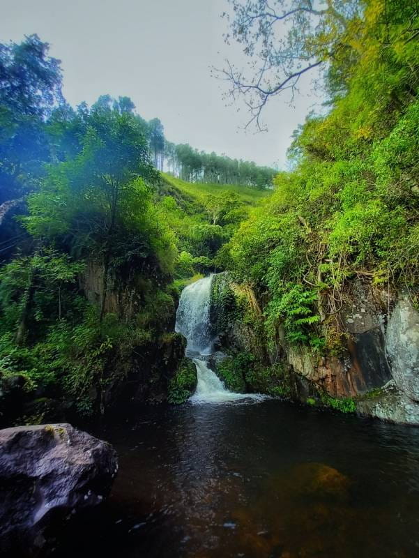 Wisata Silalahi