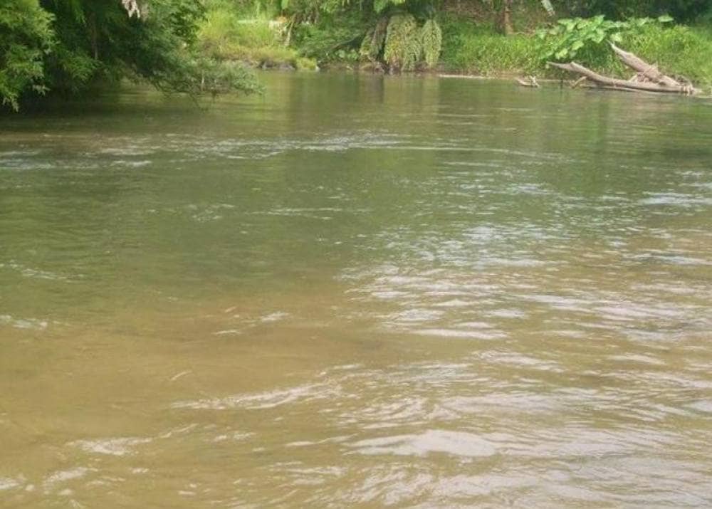 Danau Siombak dari Medan “Danau Sunyi”