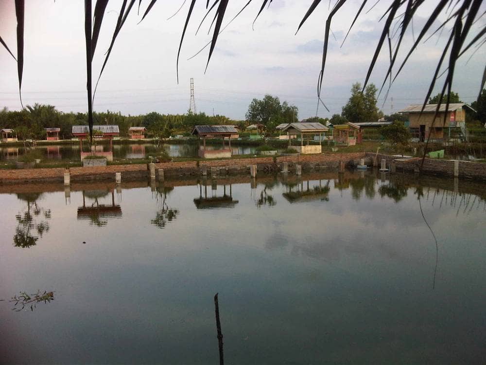 Danau Siombak dari Medan “Danau Sunyi”