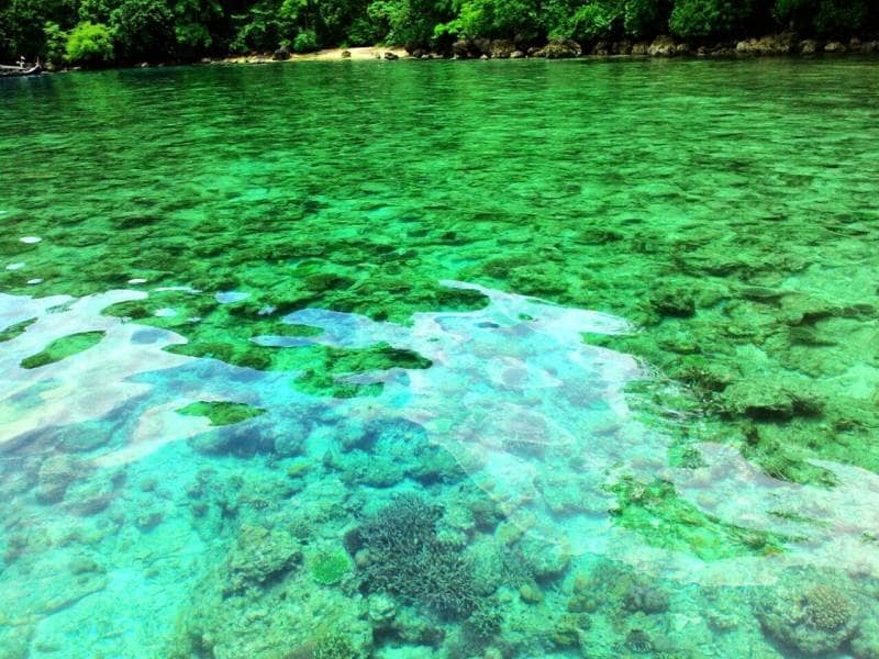 blue bay