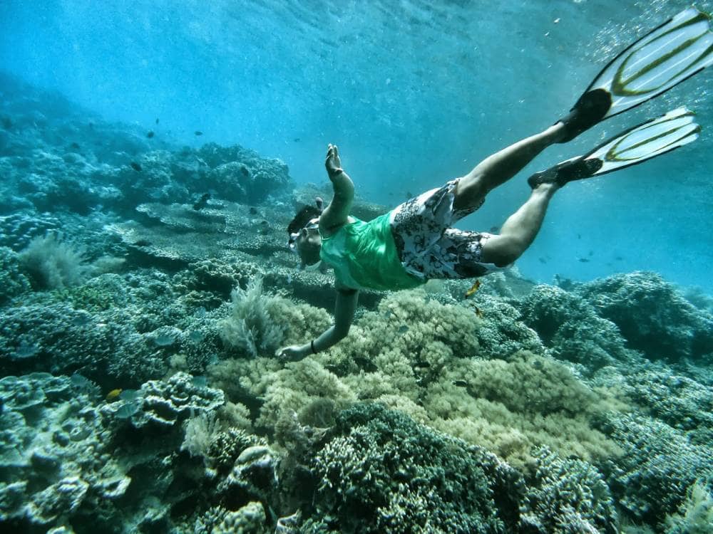 taman laut bunaken