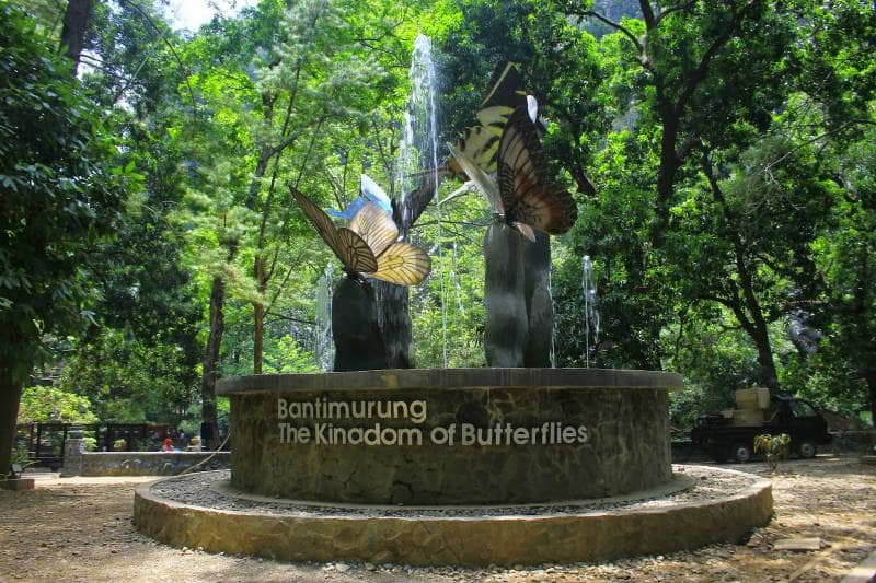 taman nasional bantimurung