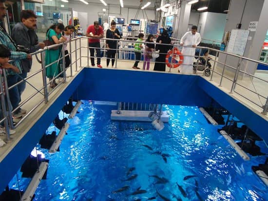 dubai aquarium & underwater zoo