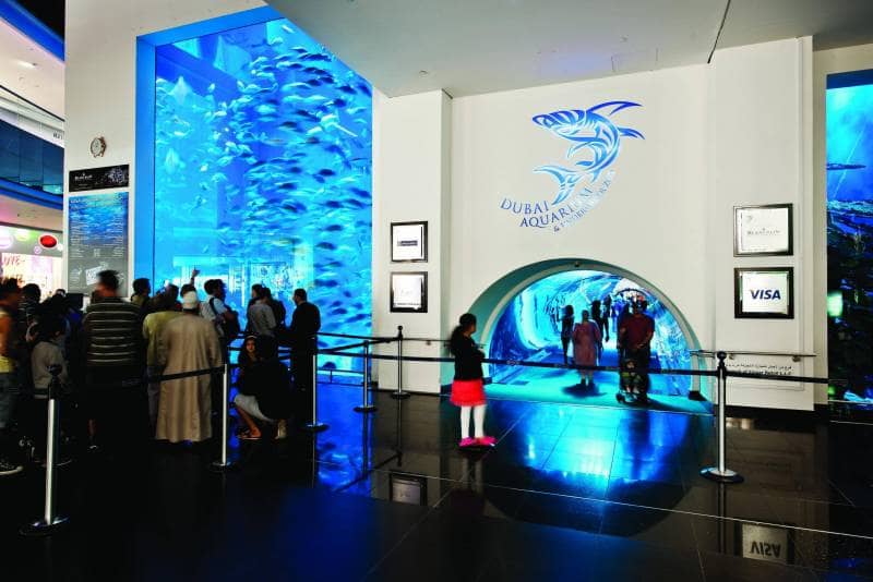 dubai aquarium & underwater zoo