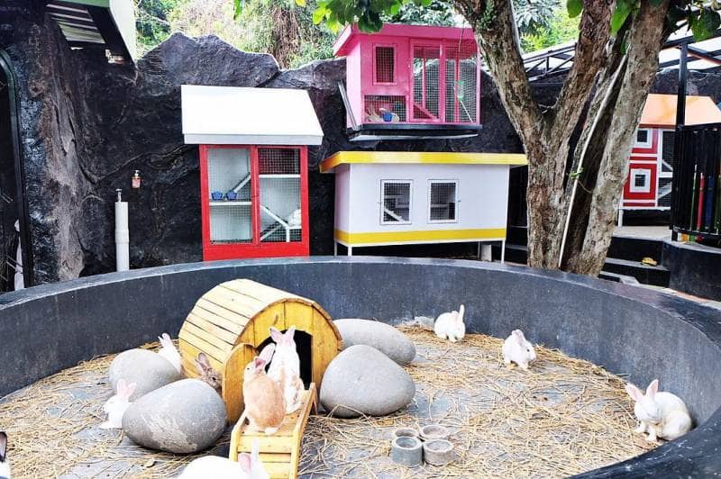 rabbit town bandung