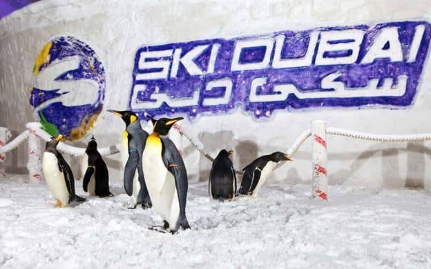 indoor ski dubai