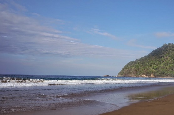 pantai sukamade