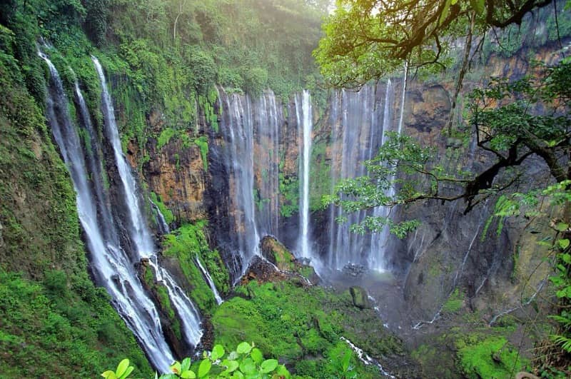 cuban sewu