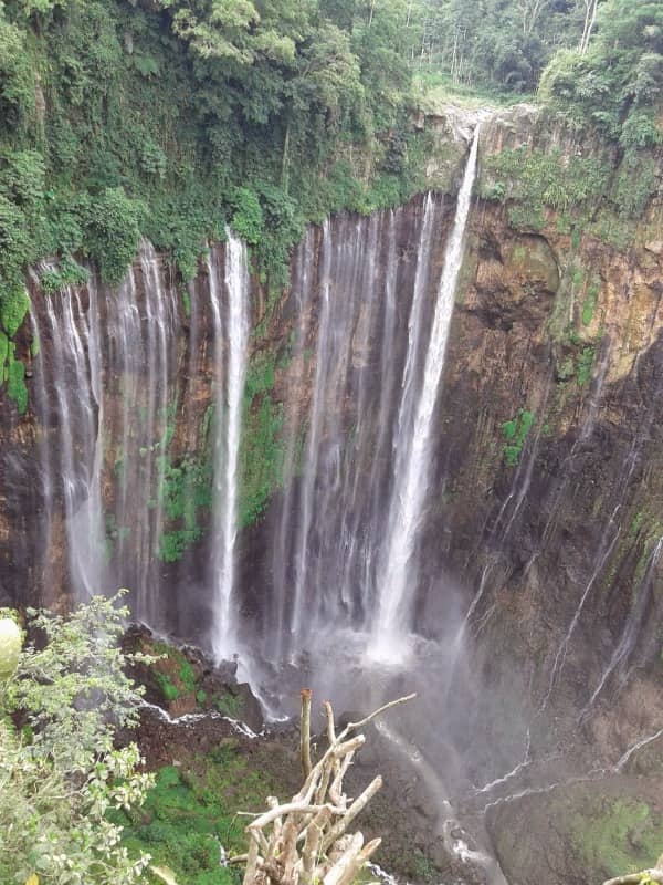 cuban sewu